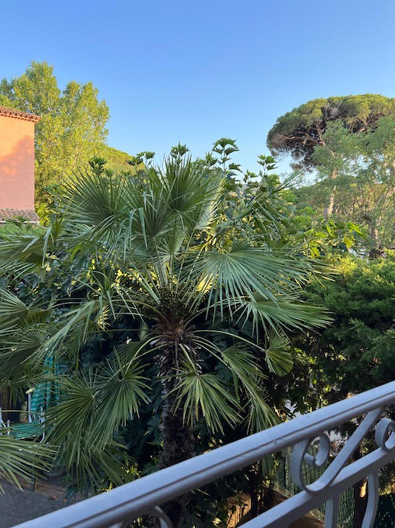 Superbe Appartement Terrasse Et Parking Prive Saint-Tropez Luaran gambar